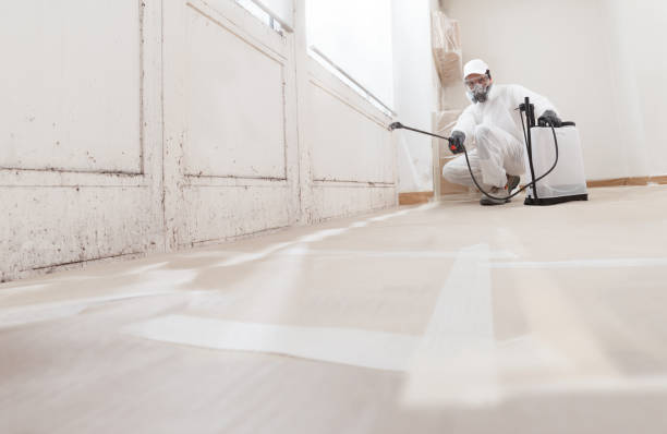 24/7 Emergency Basement Mold Removal experts in Pleasant Hall, PA