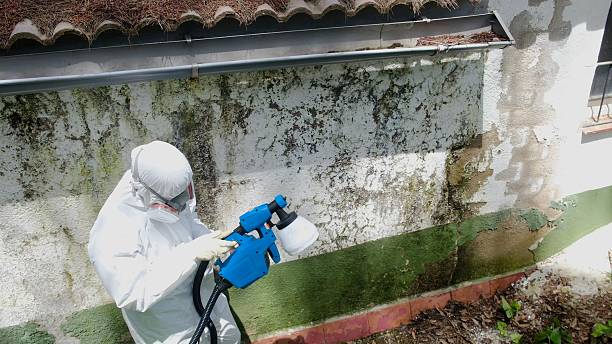 Top rated local Basement Mold Removal specialists in Pleasant Hall, PA